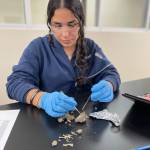 WhatsApp Image 2024-11-21 at 3.31.42 PM (2)